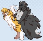 anal anthro black_body black_fur duo eyewear fluffy fur glasses hair male male/male mane ponytail stripes white_body white_fur yellow_body yellow_fur jonky alpha_(alphacrow) tass_(tassy) felid hybrid liger lion mammal mephitid pantherine skunk hi_res