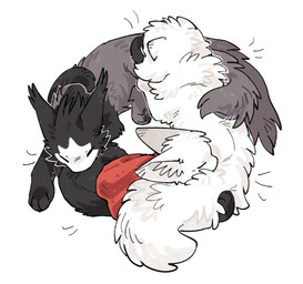 ambiguous_gender black_body black_fur clothing duo eyes_closed feral fluffy fluffy_tail fur inner_ear_fluff pawpads paws quadruped red_clothing simple_background tail tuft white_background white_body white_fur aaasakawa hollow_knight:_silksong hollow_knight_(franchise) team_cherry hornet_(hollow_knight) lace_(hollow_knight:_silksong) phantom_(hollow_knight:_silksong) felid feline mammal female_(lore) sibling_(lore) sister_(lore) sisters_(lore)