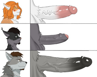 anthro big_penis chart eyewear foreskin genitals glasses group long_penis male penis penis_chart retracted_foreskin trio vein veiny_penis konro penis_lineup canid canine canis domestic_cat felid feline felis lynx mammal wolf 5:4 absurd_res hi_res