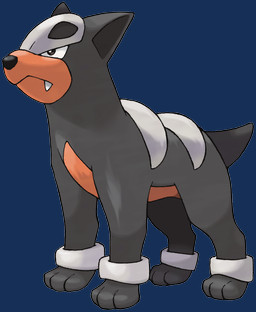 ambiguous_gender black_body black_ears black_fur black_tail fangs fur mouth_closed orange_body orange_fur quadruped side_view simple_background snaggle_tooth solo tail teeth three-quarter_view transparent_background ken_sugimori nintendo pokemon canid canine generation_2_pokemon houndour mammal pokemon_(species) alpha_channel hi_res official_art