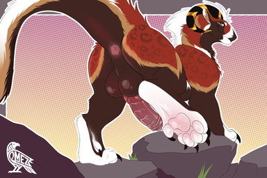 animal_genitalia anus balls butt claws erection feet feral fur genitals looking_at_viewer looking_back male pawpads paws penis presenting raised_tail smile tail tail_anus thick_tail omez felkin mammal