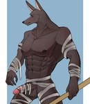 anthro balls bandage big_penis erection fur genitals glans humanoid_genitalia humanoid_penis male muscular muscular_anthro muscular_male nipples nude pecs penis solo warwickislovely league_of_legends riot_games tencent nasus_(lol) anubian_jackal canid canine canis jackal mammal hi_res