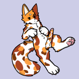 4_toes anthro balls big_penis black_eyes black_nose bored brown_body brown_fur cheek_tuft claws collar facial_tuft feet floating fluffy fluffy_chest fluffy_tail foot_fetish foot_focus fur genitals kemono male orange_body orange_fur pawpads paws penis pikazeen_(fursona) pink_pawpads presenting presenting_penis simple_background solo solo_focus tail toes tuft white_body white_fur pikazeen animal_humanoid calico_cat cat_humanoid domestic_cat felid felid_humanoid feline feline_humanoid felis humanoid mammal mammal_humanoid robloxian 1:1 hi_res