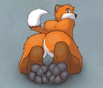 anthro bent_over butt butt_focus confusion featureless_butt feet fluffy foot_fetish foot_focus fur looking_at_viewer looking_back looking_back_at_viewer male nude orange_body orange_fur pawpads paws solo tail toes kiwifizz canid canine fox mammal true_fox hi_res