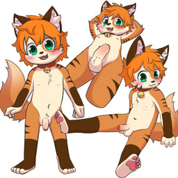 4_fingers 4_toes anthro areola balls bell bell_collar biped blush blush_lines brown_body brown_ears brown_fur brown_nose brown_stripes cheek_tuft chest_tuft collar collar_only erection facial_tuft fangs feet fingers flaccid fluffy fluffy_tail foreskin fur genitals glans glistening glistening_eyes green_eyes hair hands_behind_head hindpaw humanoid_genitalia humanoid_penis inner_ear_fluff leg_markings looking_at_viewer male male_anthro markings mismatched_genitalia mismatched_humanoid_penis mismatched_penis mouth_closed multicolored_body multicolored_fur multicolored_penis navel nipples nude nude_anthro nude_male open_mouth open_smile orange_body orange_fur orange_hair orange_tail partially_retracted_foreskin pawpads paws penis pink_areola pink_nipples pink_pawpads red_collar red_glans red_penis simple_background sitting smile smiling_at_viewer socks_(marking) solo standing striped_body striped_fur stripes tail teeth toes tongue tuft two_tone_penis white_background white_balls white_body white_fur white_inner_ear_fluff white_penis young young_anthro young_male choki canid canine fox mammal 1:1 2026 digital_media_(artwork) hi_res