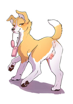 anatomically_correct anatomically_correct_genitalia anatomically_correct_vulva animal_genitalia animal_vulva anus bedroom_eyes black_nose brown_pawpads canine_genitalia canine_vulva dipstick_tail egg_vibrator eyelashes facial_markings female feral floppy_ears fluffy fluffy_tail folded_ears fur genitals head_markings holding_object holding_sex_toy holding_vibrator looking_at_viewer looking_back looking_back_at_viewer markings narrowed_eyes object_in_mouth orange_body orange_ears orange_fur orange_tail pawpads pink_anus pink_vulva presenting presenting_vulva quadruped raised_arm raised_leg seductive sex_toy snout solo tail tail_markings three-quarter_view vibrator vulva white_body white_fur white_inner_ear white_tail_tip yellow_eyes momou azu_(momou_fox) canid canine canis domestic_dog mammal 2025 absurd_res digital_media_(artwork) hi_res