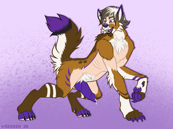 all_fours animal_genitalia canine_genitalia feral fur fur_growth genitals growth knot looking_back male paws purple_insides raised_tail snout snout_growth species_transformation tail tail_growth transformation unusual_insides wereren epsole canid canine canis domestic_dog fox humanoid husky hybrid mammal nordic_sled_dog spitz wolf hi_res