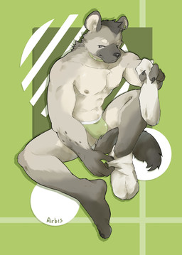 anthro athletic athletic_anthro athletic_male black_nose black_spots bulge claws clothed clothing ear_piercing eyebrow_piercing facial_piercing feet finger_claws footwear fur grey_body grey_fur jockstrap jockstrap_only kemono male musk nipples piercing removing_socks socks solo spots tail toe_claws topless underwear underwear_only undressing_self sinarbis arknights hypergryph studio_montagne spot_(arknights) hyena mammal spotted_hyena hi_res