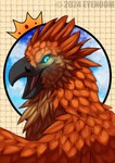 ambiguous_gender beak black_beak black_sclera blue_eyes feathers feral looking_at_viewer orange_body orange_feathers solo shadoweyenoom mythology avian gryphon mythological_avian mythological_creature 2024 hi_res