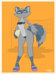 anthro ball beach border breasts clothing female footwear high_heels net one-piece_swimsuit sandals seaside shoes solo sport swimwear translucent translucent_clothing translucent_swimwear under_boob volleyball volleyball_(ball) volleyball_net white_border beatnikoo gris_swimsuit meme_clothing mammal procyonid raccoon 2022 3:4 absurd_res hi_res meme