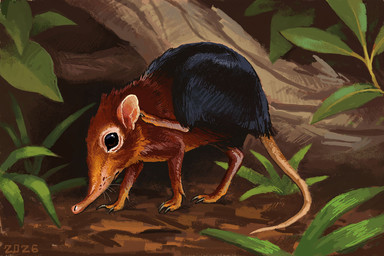 black_body black_eyes black_fur branch brown_body brown_fur dirt feral fur grass leaf plant scratching_ear solo tail whiskers alexpahomov black_and_rufous_elephant_shrew mammal sengi 2026 digital_media_(artwork) digital_painting_(artwork) painting_(artwork)