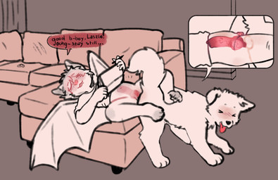 abdominal_bulge all_fours andromorph andromorph/male animal_genitalia animal_penis anthro anthro_on_feral anthro_penetrated ass_to_ass bat_wings bestiality black_nose bottomless bottomless_anthro canine_genitalia canine_penis circle_eyebrows claws clitoris clothed clothing color_coded color_coded_speech_bubble curling_toes duo emanata erection eyebrows eyes_closed fangs feet female female_penetrated feral feral_penetrating feral_penetrating_anthro floppy_ears furniture genitals holding_stylus humanoid_genitalia humanoid_vulva intersex intersex/male interspecies knot knot_root knotted_penis knotting legs_around_partner lying male male/female male_penetrating male_penetrating_female membrane_(anatomy) membranous_wings nude on_back on_sofa open_mouth penetration penile penile_penetration penis penis_in_vagina reverse_doggystyle sex sofa speech_bubble teeth text toe_claws tongue tongue_out vaginal vaginal_knotting vaginal_penetration vulva white_body wings wangstrashyard bat canid canine canis domestic_dog mammal absurd_res english_text hi_res