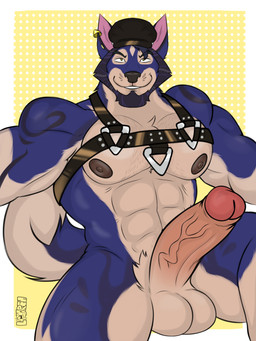 anthro balls beard big_balls big_muscles big_pecs big_penis blue_body blue_fur body_hair chest_hair clothing curved_tail ear_piercing erection facial_hair fur genitals glans hair harness hat headgear headwear humanoid_genitalia humanoid_penis male muscular muscular_anthro muscular_male nipples nude pecs penis piercing simple_background smile smiling_at_viewer solo tail vein veiny_penis yellow_eyes louren_fox canid canine canis domestic_dog husky mammal nordic_sled_dog siberian_husky spitz 3:4 absurd_res hi_res