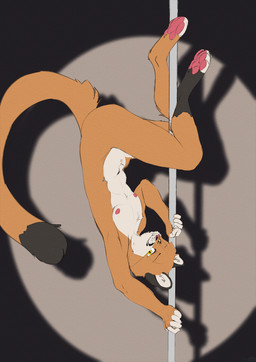 4_toes 5_fingers anthro biped black_body black_fur black_markings black_tail brown_body brown_fur brown_tail dancing dipstick_tail facial_markings feet fingerless_(marking) fingers fur head_markings looking_at_viewer male markings multicolored_body multicolored_fur multicolored_tail nipples nude pawpads pink_nipples pink_nose pink_pawpads pole pole_dancing shadow simple_background solo stripper_pole tail tail_markings toeless_(marking) toes two_tone_tail upside_down white_body white_fur yellow_eyes foxboy83 cougar felid feline mammal 2019 digital_media_(artwork) hi_res