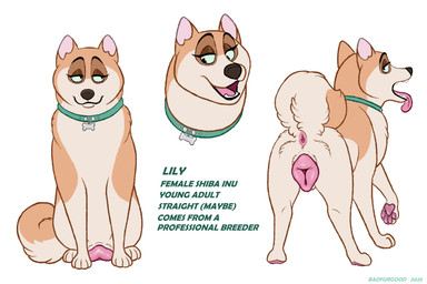 animal_genitalia animal_vulva anus big_vulva butt canine_genitalia canine_vulva collar collar_tag female feral genitals pawpads plump_labia presenting presenting_anus presenting_hindquarters presenting_vulva solo text tongue tongue_out vulva badfurgood lily_(badfurgood) canid canine canis domestic_dog mammal shiba_inu spitz 3:2 english_text hi_res model_sheet