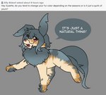 blue_body blue_fur blue_hair calico_pattern eyewear female feral fluffy fluffy_chest fur glasses grey_background hair leaf leaf_tail moss plant simple_background smile smiling_at_viewer solo speech_bubble tail text buns_and_foxes macchiato_fox nintendo pokemon suzette_(macchiato_fox) eeveelution generation_4_pokemon leafeon pokemon_(species) english_text hi_res