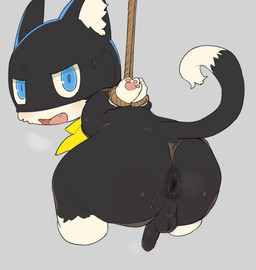anthro anus arms_tied backsack balls bdsm black_body black_fur blue_eyes blush bodily_fluids bondage bound butt chibi dipstick_tail foreskin fur genitals humanoid_genitalia humanoid_penis kerchief looking_at_viewer looking_back looking_back_at_viewer male markings mask multicolored_body multicolored_fur nude open_mouth pawpads paws penis raised_tail restraints rope rope_bondage simple_background solo sweat tail tail_markings two_tone_body two_tone_fur wearing_mask white_body white_fur rinrin_(pixiv) atlus megami_tensei persona_(series) persona_5 sega morgana_(persona) domestic_cat felid feline felis mammal tuxedo_cat 2023 absurd_res hi_res