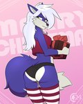 anthro blue_body blue_fur butt clothing female frown fur gift hair holidays legwear long_hair panties rear_view solo stockings underwear white_hair chocend christmas canid canine mammal hi_res