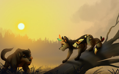 ambiguous_gender black_body black_fur black_nose blue_eyes day detailed_background duo feral fur grass grey_body grey_fur hair open_mouth outside plant sky smile standing sun young kitchiki african_wild_dog canid canine canis mammal wolf