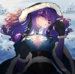 anthro blue_eyes breasts clothing cold dress eyebrows female frost fur hair long_hair purple_body purple_fur purple_hair snow solo white_body white_fur conditional_dnp sadbitch lucia_(grey_wolf_570) canid canine canis mammal wolf hi_res