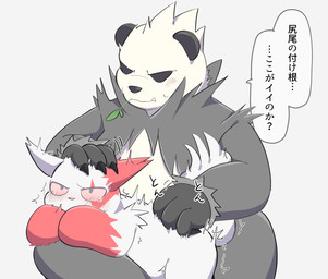 ambiguous_gender anthro aroused blue_eyes blush bodily_fluids covering covering_mouth covering_own_mouth covering_self dialogue duo empty_eyes front_view fur grey_body grey_fur looking_down multicolored_body multicolored_fur on_lap red_body red_fur scritches shaking simple_background size_difference speech_bubble tail tears text tremble_lines trembling two_tone_body two_tone_fur white_background white_body white_fur bbend nintendo pokemon generation_3_pokemon generation_6_pokemon pangoro pokemon_(species) zangoose hi_res japanese_text translated