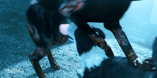 animal_genitalia animal_penis animal_vulva anus canine_genitalia canine_penis canine_vulva duo erection face_fucking fellatio female female_penetrated feral feral_on_feral feral_penetrated feral_penetrating feral_penetrating_feral genitals intraspecies irrumatio knot knotted_penis male male/female male_penetrating male_penetrating_female oral oral_penetration penetration penile penile_penetration penis penis_in_mouth realistic_feral sex trioami260 capcom resident_evil canid canine canis domestic_dog mammal zombie_dog_(resident_evil) 3d_(artwork) 3d_animation animated digital_media_(artwork)