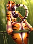 anthro bamboo bamboo_tree bandage biped breasts butt clothed clothing female looking_at_viewer looking_back plant raised_tail smile solo tail tree muhomora dreamworks kung_fu_panda master_tigress felid feline mammal pantherine tiger absurd_res hi_res