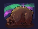 biped black_nose brown_body brown_fur eyes_closed feral fur night overweight sleeping solo star lentejota6 bear mammal 2021 4:3 hi_res