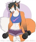 abs anthro bra clothing female muscular muscular_female solo sports_bra underwear weights dtalvi nike rosaline_(bronx23) canid canine fox mammal red_fox true_fox hi_res