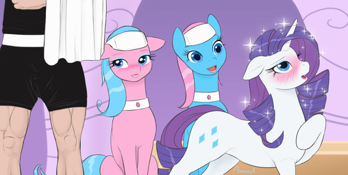 accessory blue_body blue_eyes blue_eyeshadow blue_fur blue_hair blush clothing cutie_mark eyelashes eyeshadow female feral fur group hair headband horn inside makeup male open_mouth pink_body pink_fur pink_hair purple_hair towel white_body white_fur arareroll friendship_is_magic hasbro my_little_pony mythology aloe_(mlp) lotus_(mlp) rarity_(mlp) earth_pony equid equine horse human mammal mythological_creature mythological_equine pony unicorn 2014 digital_media_(artwork) hi_res source_request unavailable_at_source