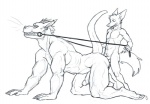 abs airu all_fours anal anal_penetration angry animal_genitalia anthro anthro_on_anthro balls biceps black_and_white butt canid canine claws clenched_teeth collar digital_drawing_(artwork) digital_media_(artwork) doggystyle dominant dominant_male dragon duo ear_piercing erection eyes_closed fangs fluffy foreskin fox from_behind_position fur genitals gums hair happy horn humanoid_genitalia humanoid_penis humanoid_pointy_ears interspecies kneeling larger_penetrated leash leash_pull looking_back male male/male male_penetrated male_penetrating male_penetrating_male mammal manly monochrome muscular muscular_bottom muscular_sub mythological_creature mythological_scalie mythology navel nude pecs penetration penis piercing presenting retracted_foreskin scales scalie sex sharp_teeth short_hair side_view simple_background size_difference sketch small_dom_big_sub smile spiky_hair submissive submissive_male tail teeth toe_claws white_background