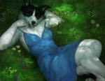 anthro black_body black_fur black_nose blue_eyes breasts clothed clothing dress female flower fluffy fur grass half-closed_eyes looking_at_viewer lying narrowed_eyes on_back plant smile solo text tuft white_body white_fur conditional_dnp oouna ava_(axisangle) border_collie canid canine canis collie domestic_dog herding_dog mammal pastoral_dog sheepdog 2016 digital_media_(artwork) english_text signature