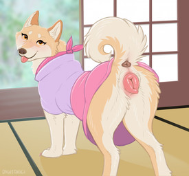 anatomically_correct anatomically_correct_genitalia anatomically_correct_vulva animal_genitalia animal_vulva anus brown_body brown_fur butt canine_genitalia canine_vulva clothed clothed_feral clothing curled_tail female female_feral feral fur genitals looking_at_viewer looking_back looking_back_at_viewer multicolored_body multicolored_fur orange_eyes pink_vulva quadruped raised_tail solo tail tail_anus tan_body tan_fur vulva white_body white_fur digitoxici panama_(hakudoge) canid canine canis domestic_dog mammal shiba_inu spitz 2026 digital_media_(artwork) hi_res