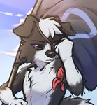 anthro black_body black_fur cloud day detailed_background flag floppy_ears fur holding_object male outside sky solo white_body white_fur ddgio gioseah border_collie canid canine canis collie domestic_dog herding_dog mammal pastoral_dog sheepdog 2022 digital_media_(artwork) hi_res