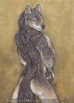 2001 ambiguous_gender anthro biped canid canine canis dark_natasha fluffy fur looking_at_viewer looking_back male mammal paws signature solo standing wolf yellow_eyes