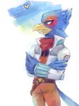 ambiguous_gender anthro beak clothing duo green_eyes male scarf s_mino930 nintendo star_fox falco_lombardi arthropod avian butterfly insect lepidopteran 2019