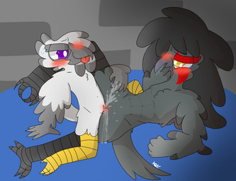 animal_genitalia anthro bodily_fluids cloaca cloaca_juice cloacal cloacal_kiss duo female female/female genital_fluids genitals looking_pleasured sex cozyhug accipitrid accipitriform avian bird black_cockatoo cockatoo eagle harpy_eagle parrot