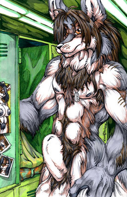 animal_genitalia anthro balls breasts chest_tuft dog_tags female fully_sheathed fur genitals locker looking_at_viewer male photo pubes sheath solo tuft vulva fenrir_lunaris canid canine canis mammal wolf half-length_portrait picture_in_picture portrait traditional_media_(artwork)