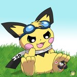 ambiguous_gender black_body black_fur duo feral foot_hug fur grass heart_symbol hug micro outside plant size_difference white_body white_fur yellow_body yellow_fur pichu90 nintendo pokemon sparks_pichu yarn_emolga emolga generation_2_pokemon generation_5_pokemon mammal pichu pokemon_(species) rodent 1:1 signature