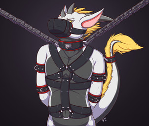 annoyed anthro blonde_hair chain collar cuff_(restraint) ears_back fur grey_body hair hands_behind_back harness horn looking_at_viewer male muzzle_(object) pivoted_ears restrained restraints simple_background solo tail tail_cuff white_body senphyro mythology senphyro_(character) dragon furred_dragon furred_scalie mythological_creature mythological_scalie scalie signature