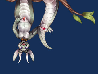 animal_genitalia anthro apode branch clitoris cloaca curved_horn female genitals horn jewelry leaf legless long_ears navel necklace purple_eyes scales serpentine slightly_chubby solo spread_cloaca spread_vulva spreading upside_down vulva typhenni tovi draconcopode kobold naga scalie 4:3 absurd_res alpha_channel hi_res
