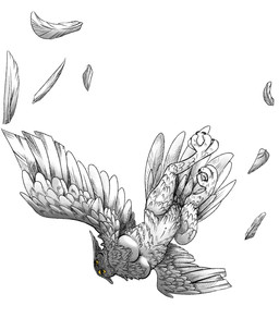 breasts crossgender female flying nude one_eye_obstructed solo under_boob unknown_artist avian bird humanoid owl hi_res source_request