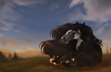 ambiguous_feral ambiguous_gender black_body black_mane blue_eyes blue_sky cloud day eyelashes feral grass lying mane mouth_closed narrowed_eyes on_side outside plant sky solo white_body huskii-s equid equine horse mammal hi_res signature