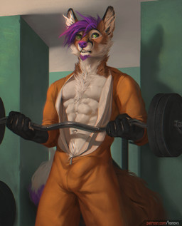 5_fingers abs anthro athletic athletic_anthro athletic_male bulge clothed clothing detailed_bulge exercise fingers fur genital_outline green_eyes hair male orange_body orange_fur penis_outline purple_hair purple_nose solo standing text weightlifting weights white_body white_fur workout honovy kigufox canid canine fox mammal 2019 digital_media_(artwork) url