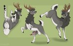 antlers anus balls feral genitals grey_body hooves horn lying male male_focus mouth_closed penis symrea jb_greymane deer mammal 16:10 widescreen