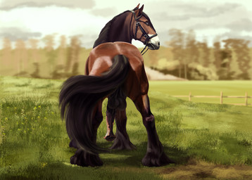 2015 animal_genitalia balls big_balls big_penis blurry blurry_background bridle brown_fur butt detailed_background dirt equine erection fence feral field flared_penis fur glans grass hair holding horse horsecock huge_penis invalid_background long_hair looking_at_viewer looking_back lostdragon01 male mammal navel nude outside penis sky soil tree urethra vein
Rating: Explicit
Score: 41
User: Peekaboo
Date: February 17, 2015 2015 animal_genitalia balls big_balls big_penis blurry blurry_background bridle brown_fur butt detailed_background dirt equine erection fence feral field flared_penis fur glans grass hair holding horse horsecock huge_penis invalid_background long_hair looking_at_viewer looking_back lostdragon01 male mammal navel nude outside penis sky soil tree urethra vein
Rating: Explicit
Score: 41
User: Peekaboo
Date: February 17, 2015