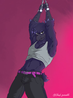 anthro chained_cuffs clothing male muscular shirt solo topwear white_clothing white_shirt white_topwear unknown_artist pillar_the_crow avian bird corvid oscine passerine 3:4 hi_res