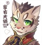 anthro clothing countershading fur green_eyes kemono looking_at_viewer male open_mouth solo text rpbbw nekojishi studio_klondike shu-chi felid feline leopard_cat mammal prionailurus chinese_text translated