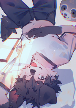 anthro black_body black_eyes black_fur black_hair blep clothing floppy_ears fur hair looking_at_viewer male one_eye_closed plushie shirt solo tongue tongue_out topwear upside_down white_body white_clothing white_fur white_shirt white_topwear wink winking_at_viewer hemuchang shin_(hemuchang) canid canine canis domestic_dog mammal 2022 hi_res
