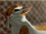 ambiguous_gender blue_eyes feathers feral fur orange_body orange_fur smile solo teeth white_body white_fur katanimate domestic_cat felid feline felis mammal 2011